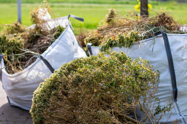 Best Professional Junk Removal  in Golden, CO