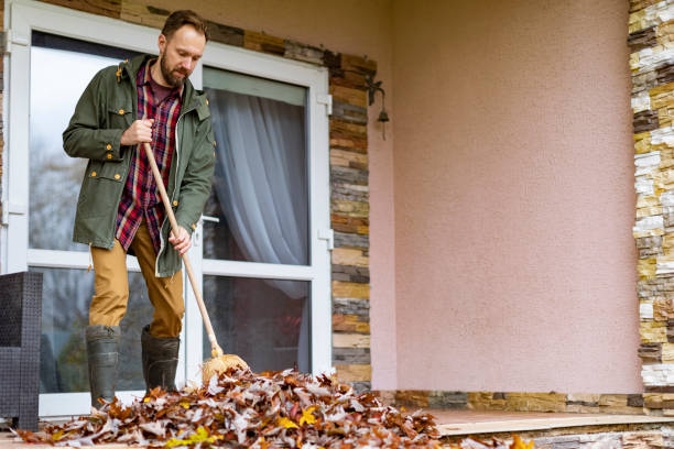 Best Furniture Removal Near Me  in Golden, CO